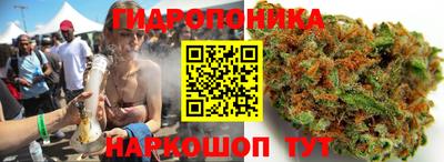 тгк Обь