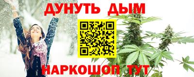 тгк Обь