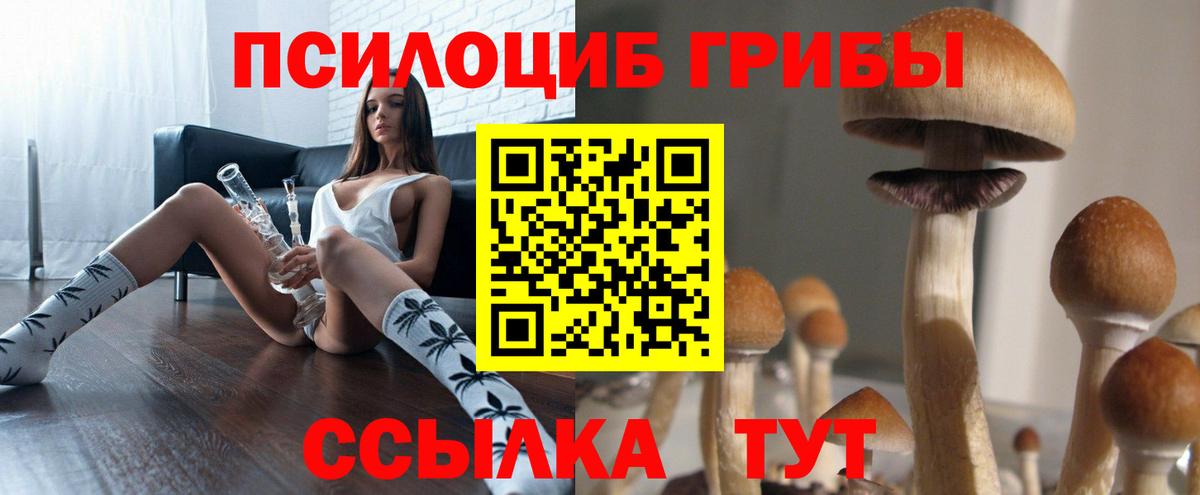 Симферополь  Псилоцибиновые грибы Cubensis  Вход с VPN 