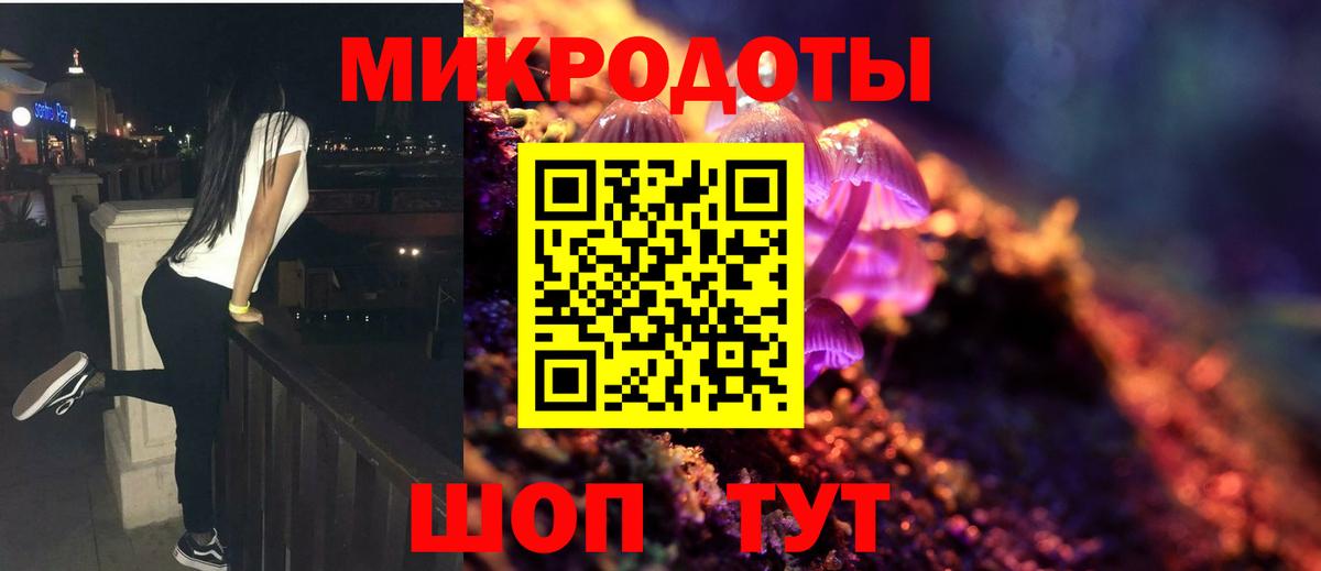 Псилоцибиновые грибы Psilocybine cubensis Симферополь